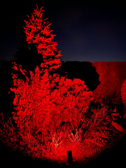 AXEN SARA™ – Solar RGB Garden Light